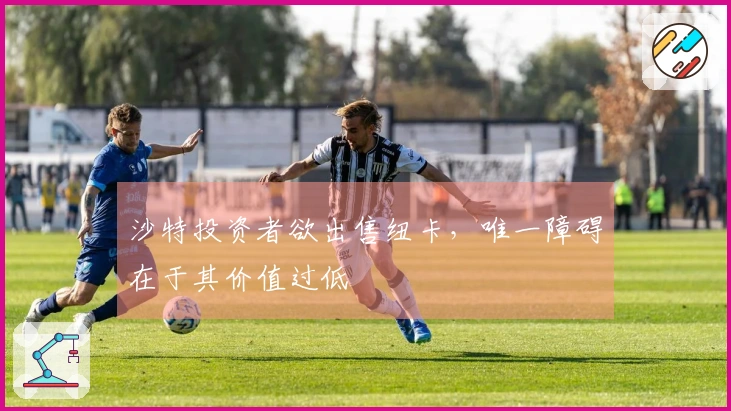 沙特投资者欲出售纽卡，唯一障碍在于其价值过低