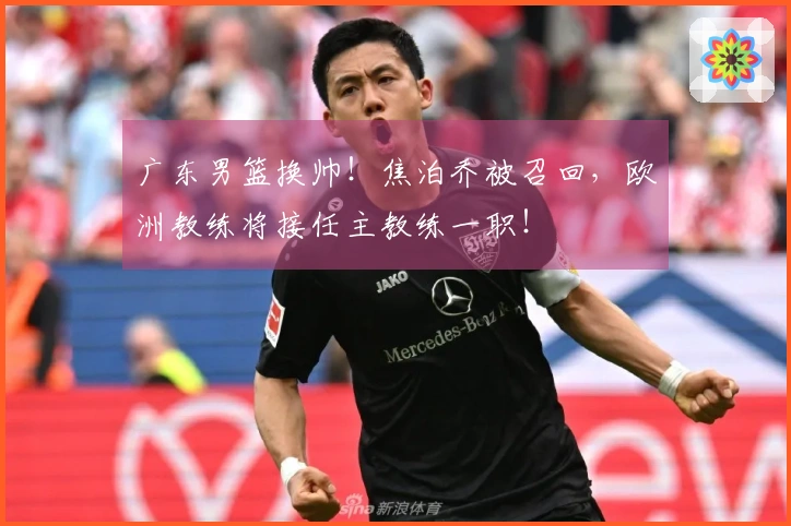 广东男篮换帅！焦泊乔被召回，欧洲教练将接任主教练一职！