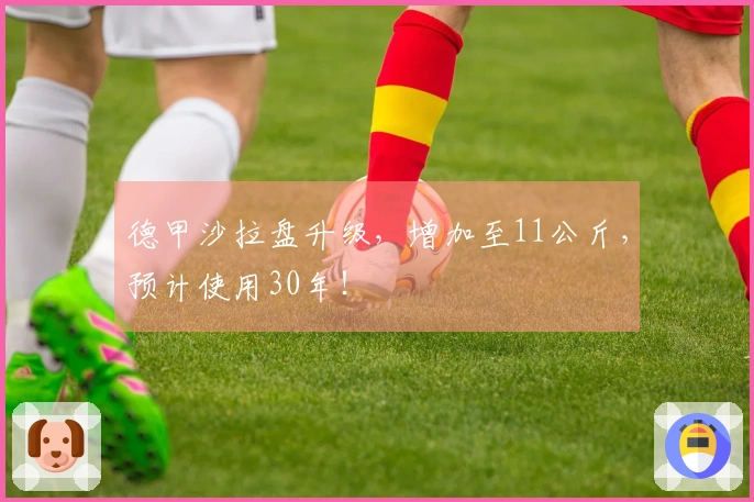 德甲沙拉盘升级，增加至11公斤，预计使用30年！